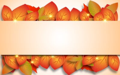 Offres exceptionnelles de l&rsquo;automne : profitez de notre vente flash exclusive